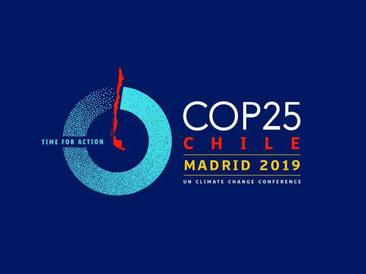 Cop 25 Madrid